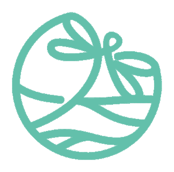 Double Dragonflies logo